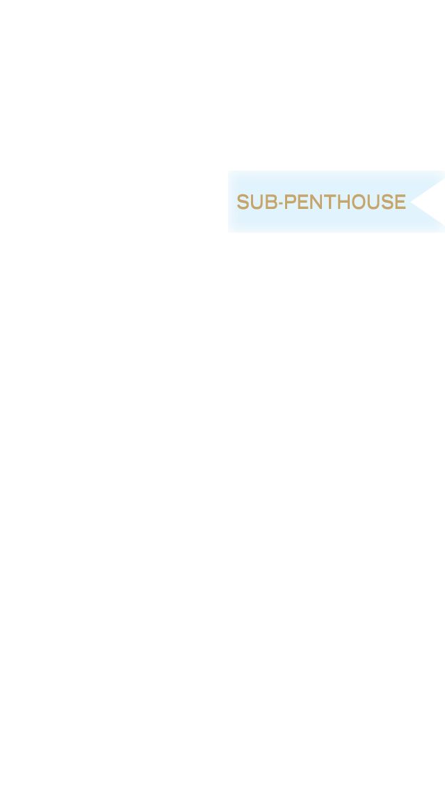 Sub Penthouse